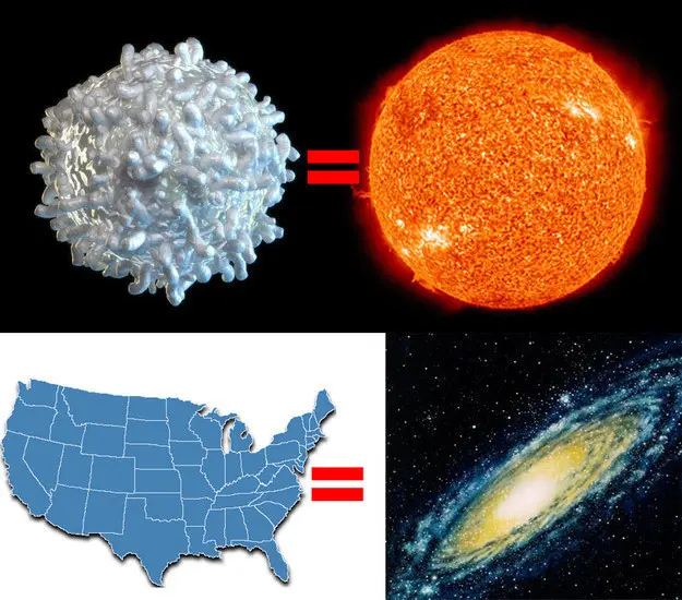 Estas increíbles imágenes te harán replantearte toda tu existencia