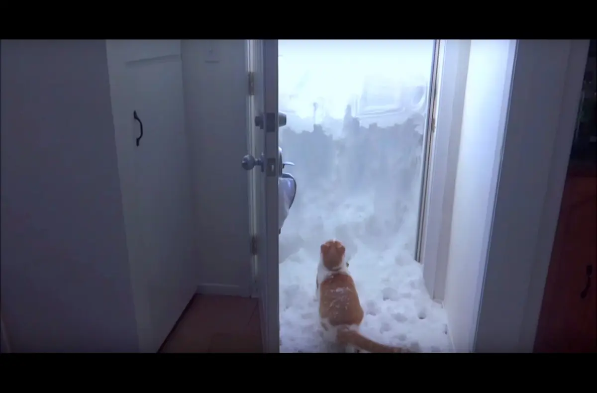 Cuando abrió la puerta y vio toda esa nieve, tuvo una reacción que ya han visto más de 3 millones de personas