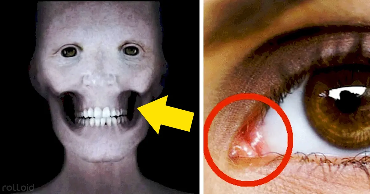 16 Increíbles datos y curiosidades que nunca te habían contado