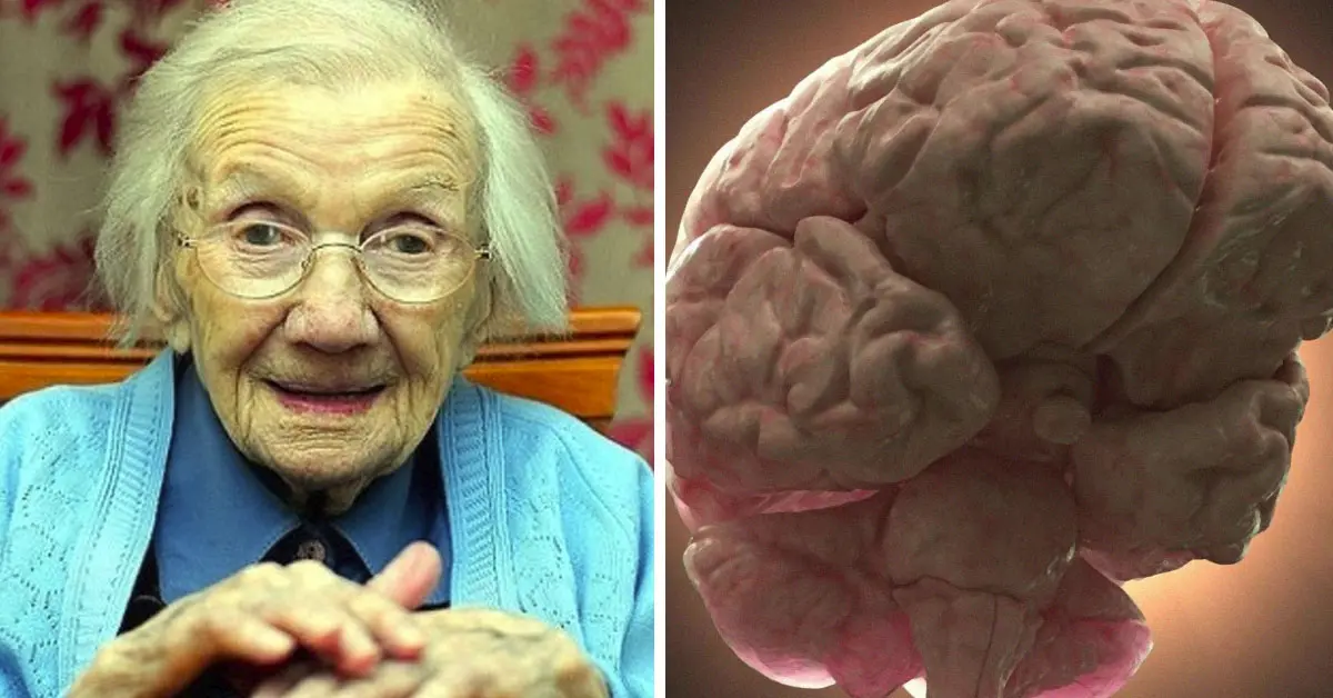 Una Neurocientífica publica un ejercicio para tratar de prevenir el Alzheimer