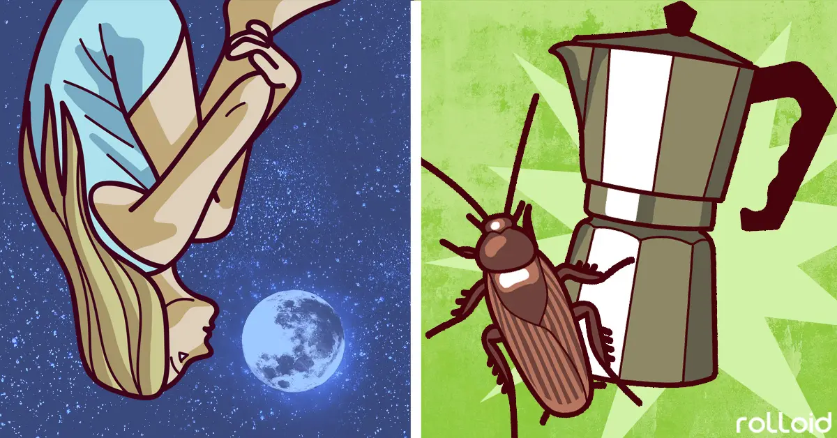 15 Datos curiosos sobre el mundo que seguramente nos habíamos preguntado y que harían explotar nuestra cabeza