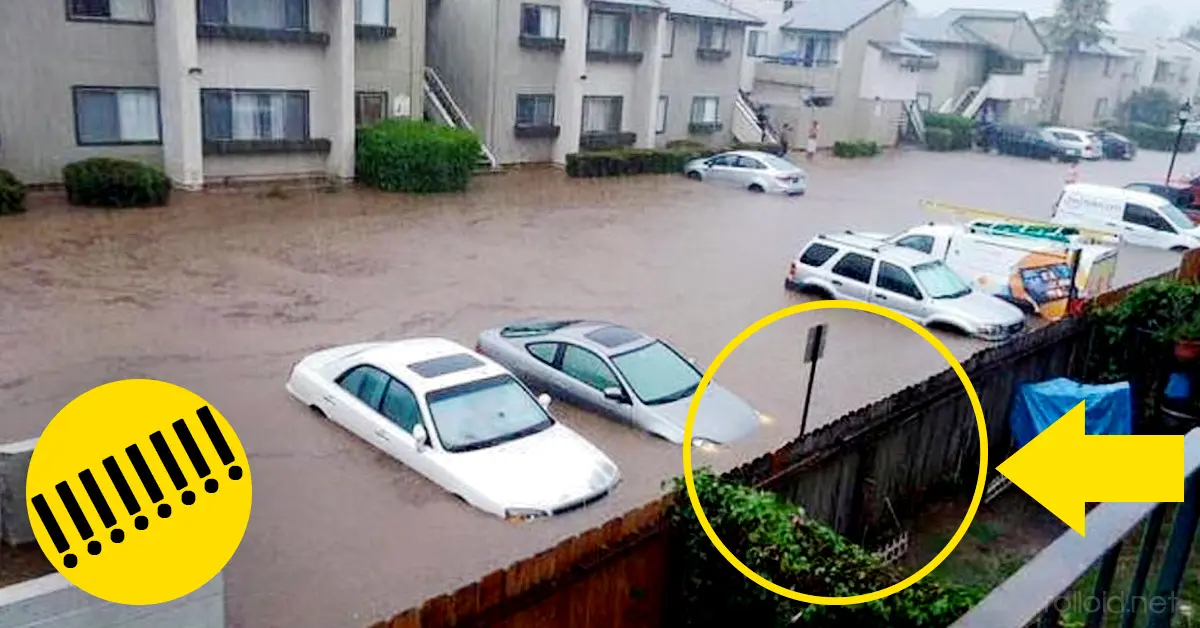 17 Increíbles Fotografías sin retocar que Prueban que la Realidad Supera a la Ficción