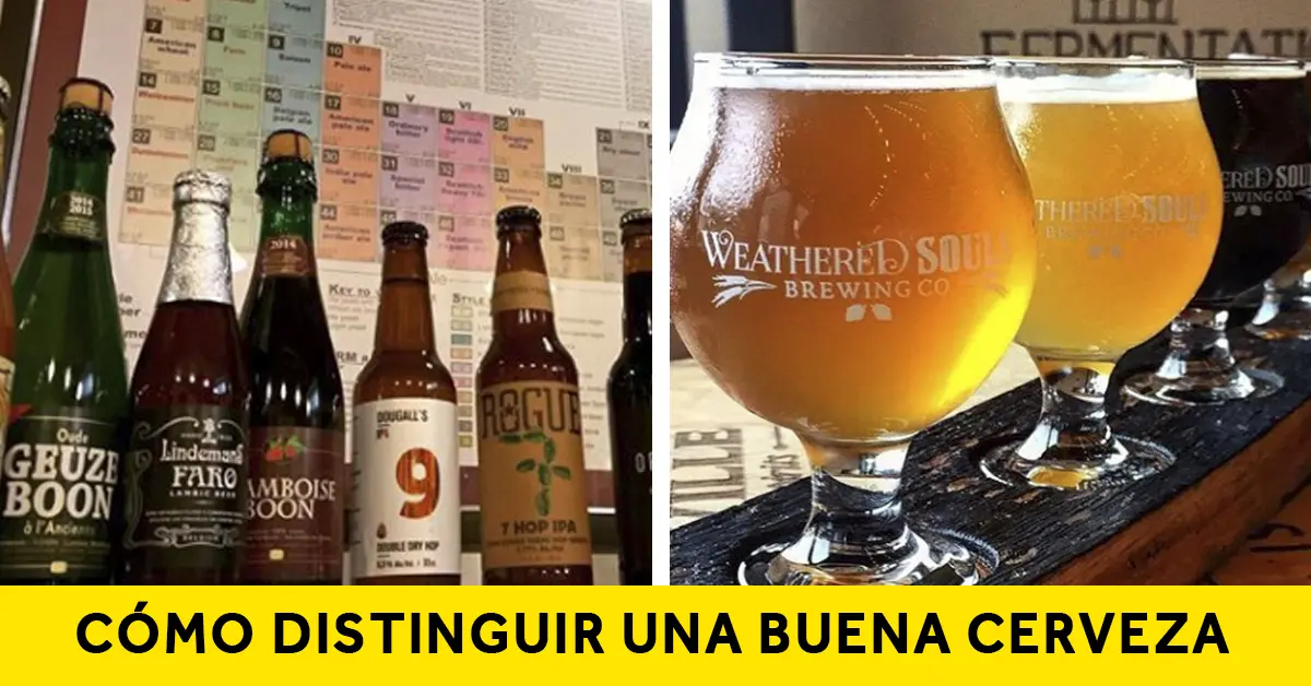 Los 13 Tipos de cerveza más consumidas del mundo y la forma más fácil de distinguirlas