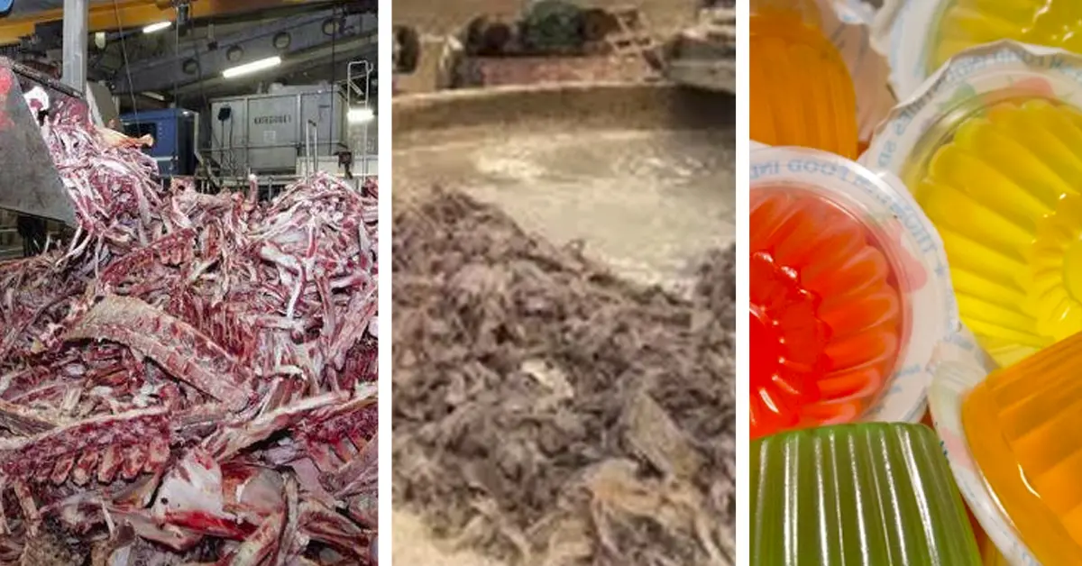 10 Repugnantes cosas que usan para hacer los alimentos que más solemos tomar a diario