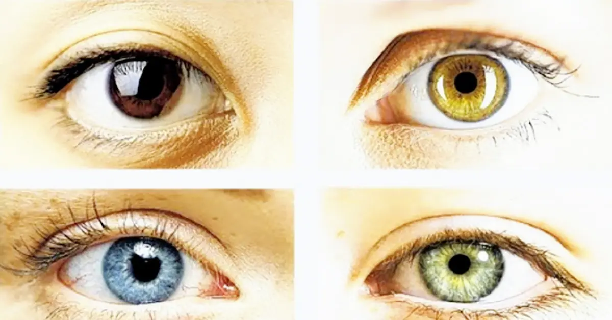 Científicos descubren que el color de nuestros ojos puede revelar secretos ocultos de nuestra personalidad