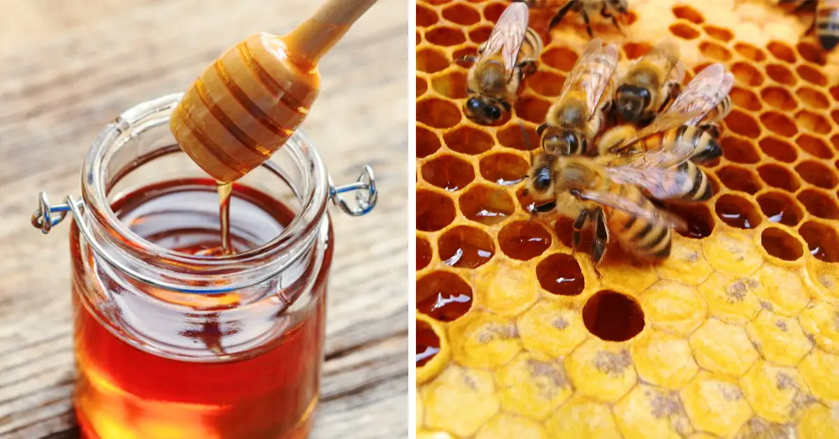 10 Cosas que pueden empezar a ocurrirte al tomar una cucharada de miel al día durante un mes
