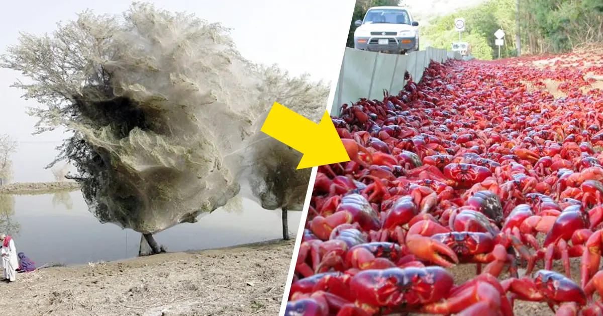 30 Curiosidades del mundo que pueden cambiar tu forma de ver las cosas
