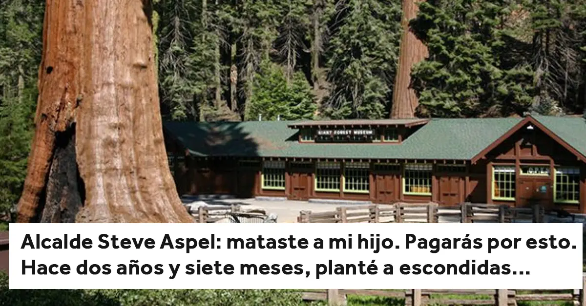 Un hombre lo da todo para vengarse después de perder a su 'hijo favorito' por orden expresa del Alcalde