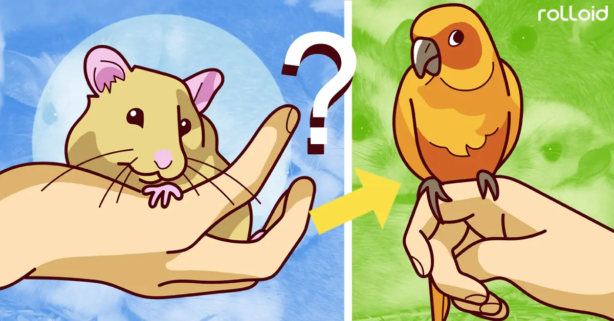 10 Mascotas perfectas para vivir en un piso pequeño