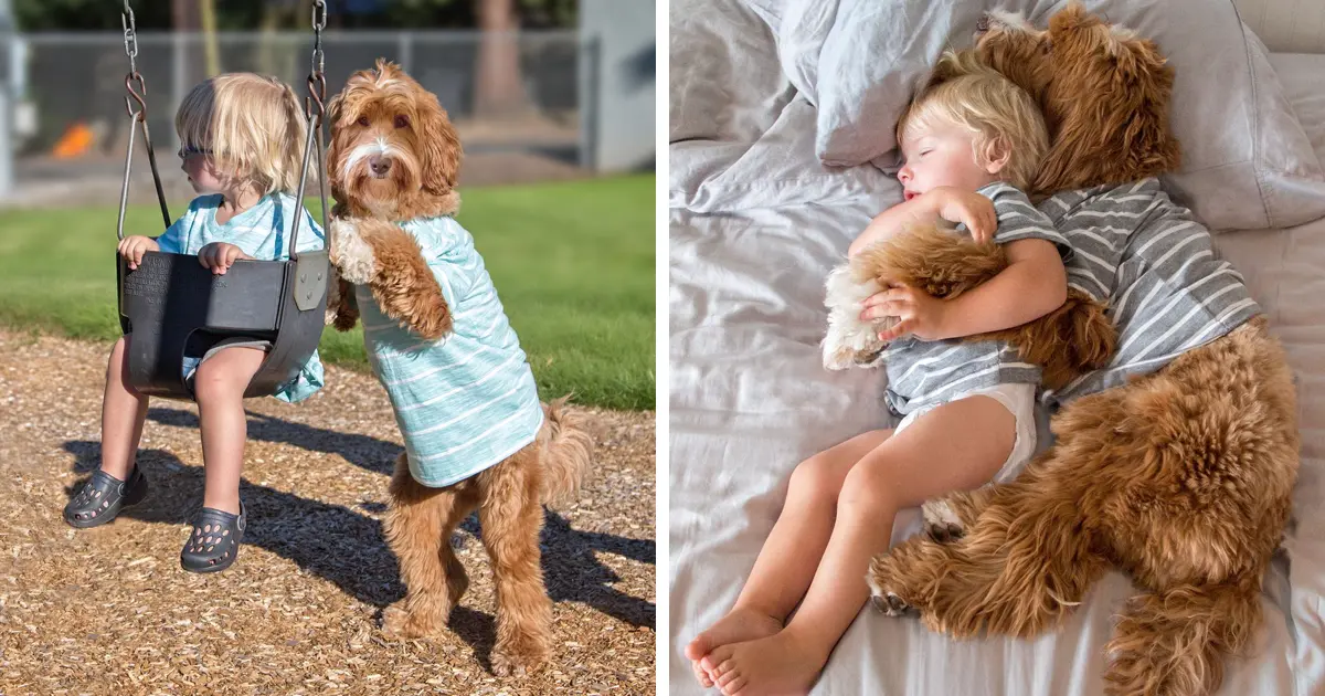 Un niño y su perro se viralizan al ser pillados en 13 divertidas imágenes