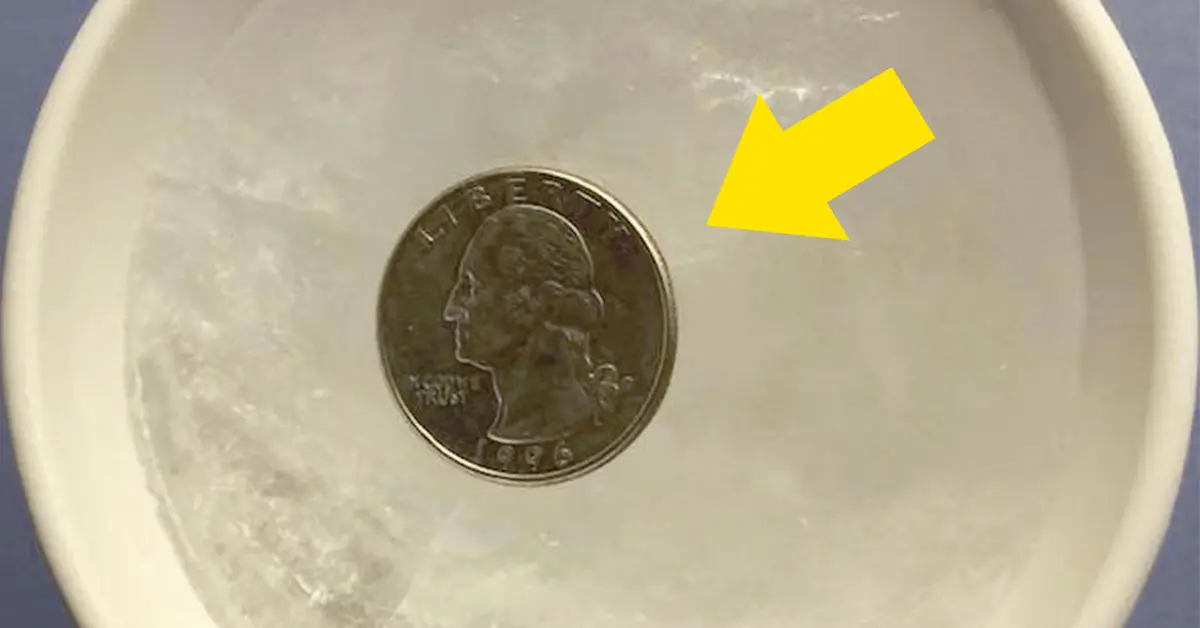 Si vas salir unos días de casa, prueba a meter una moneda en una taza de agua helada en el congelador