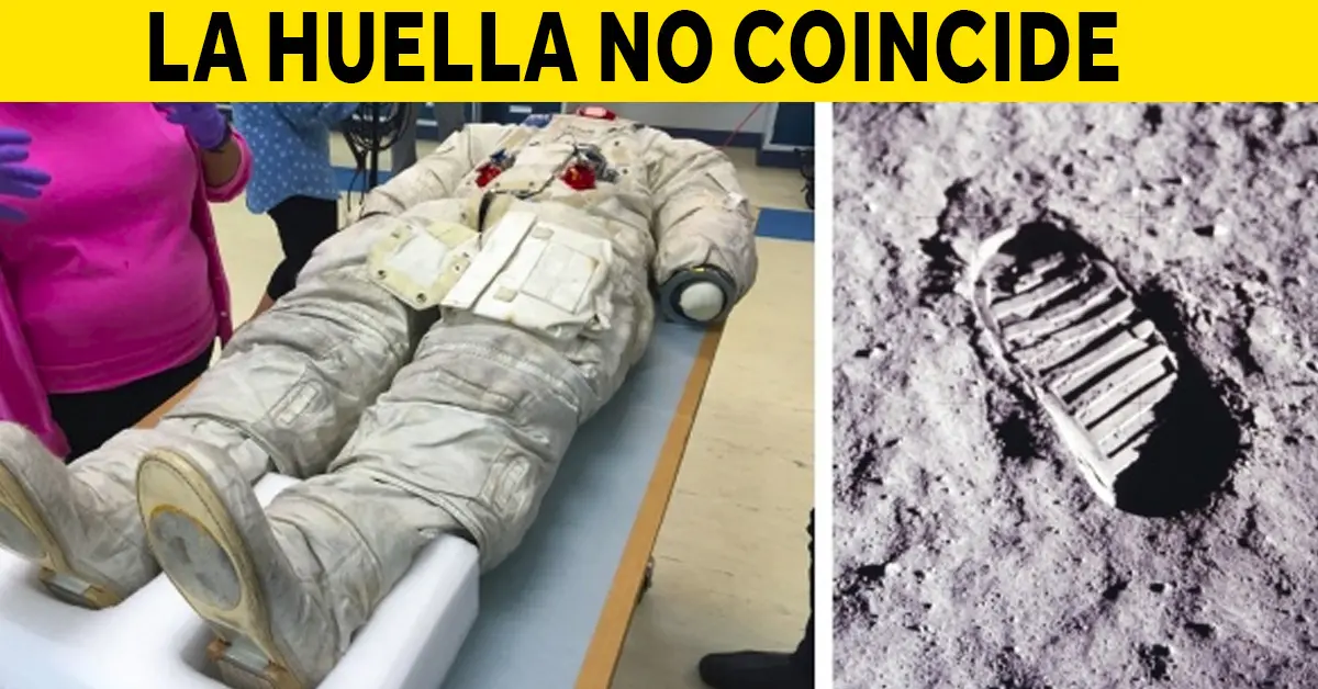 15 Cosas de las que hablamos a diario y que jamás habíamos visto en imágenes