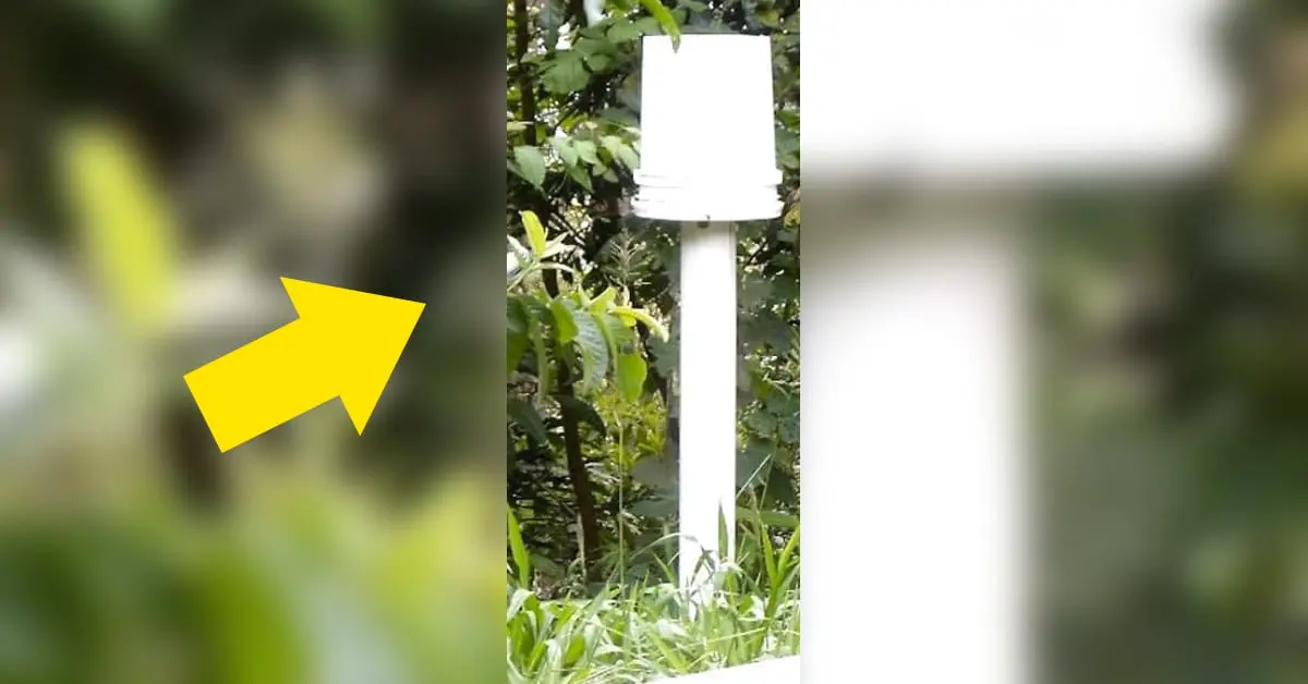 12 ingeniosas formas de darle una nueva vida a cubos viejos.