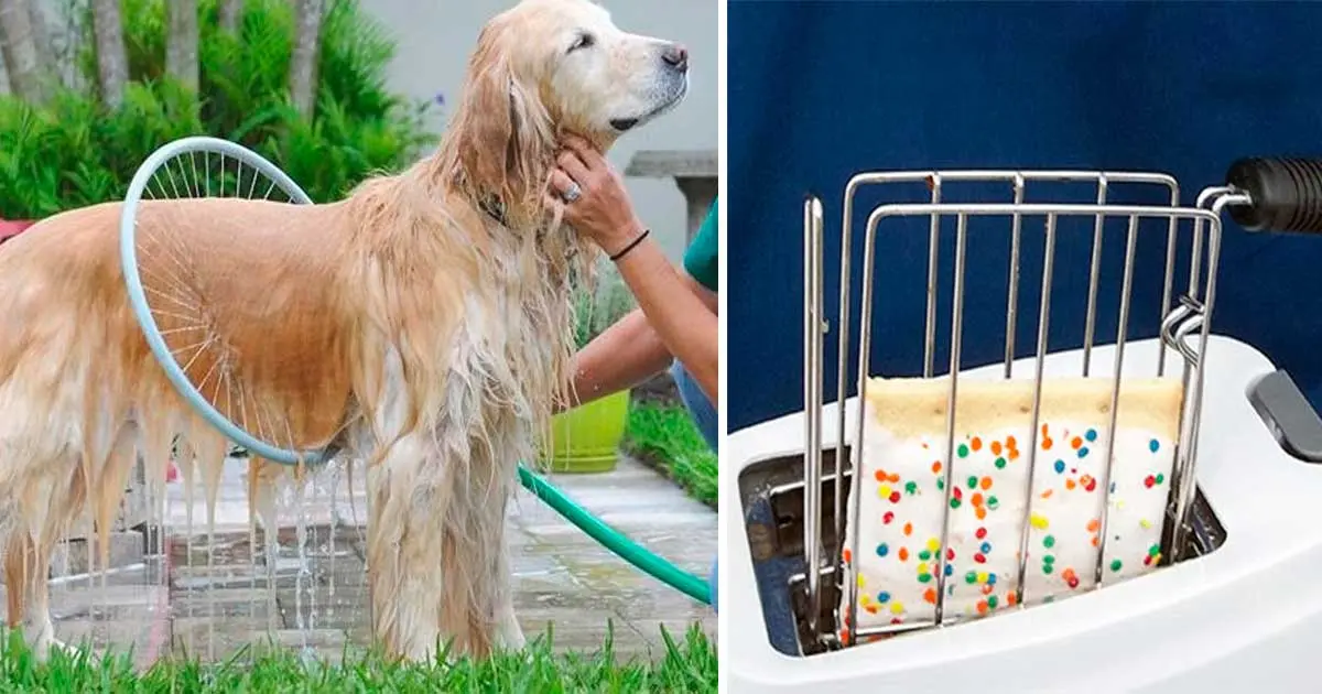 22 Regalos que desearás que te hagan este año