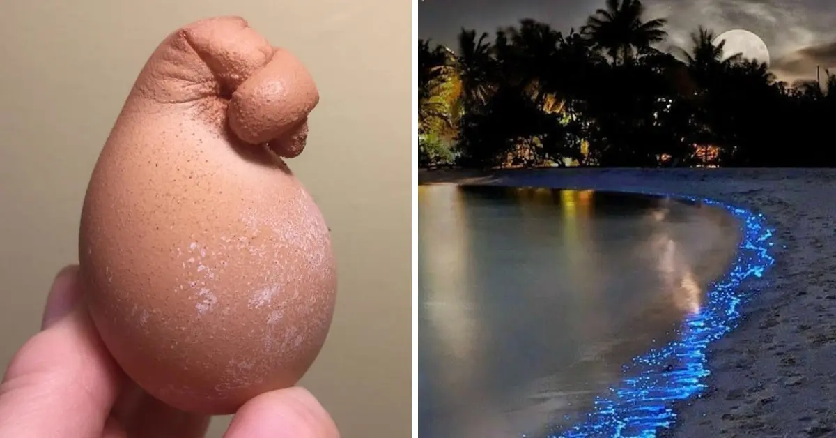 15 Imágenes que muestran la naturaleza puede ser más maravillosa que los efectos especiales de Hollywood