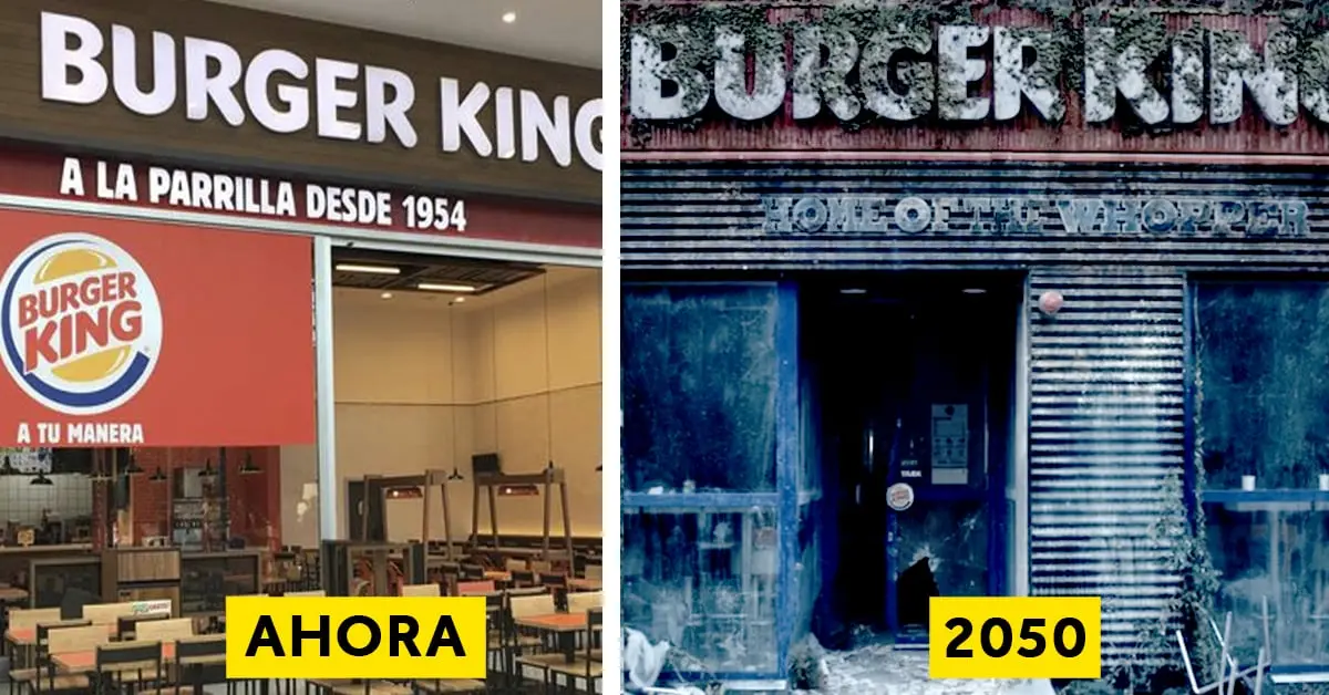 8 Cosas de nuestra vida diaria que van a desaparecer antes de 2050