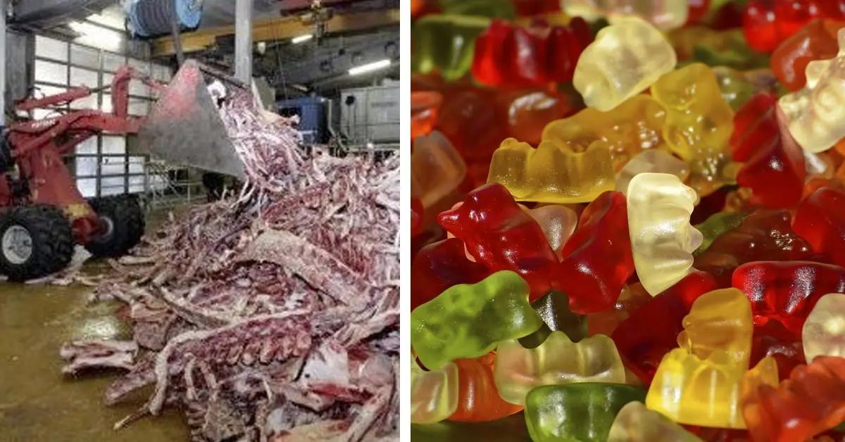 6 Cosas repugnantes que se usan para hacer los alimentos que más comemos