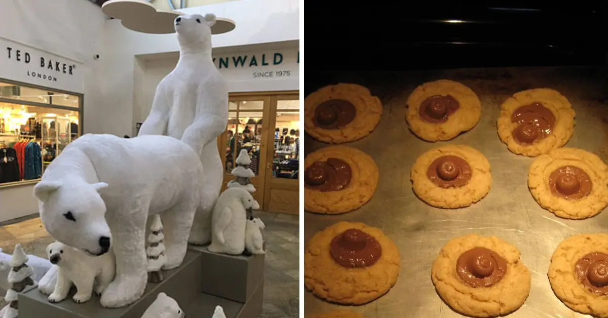 20 Decoraciones Navideñas que acabaron en desastre cuando las pusieron