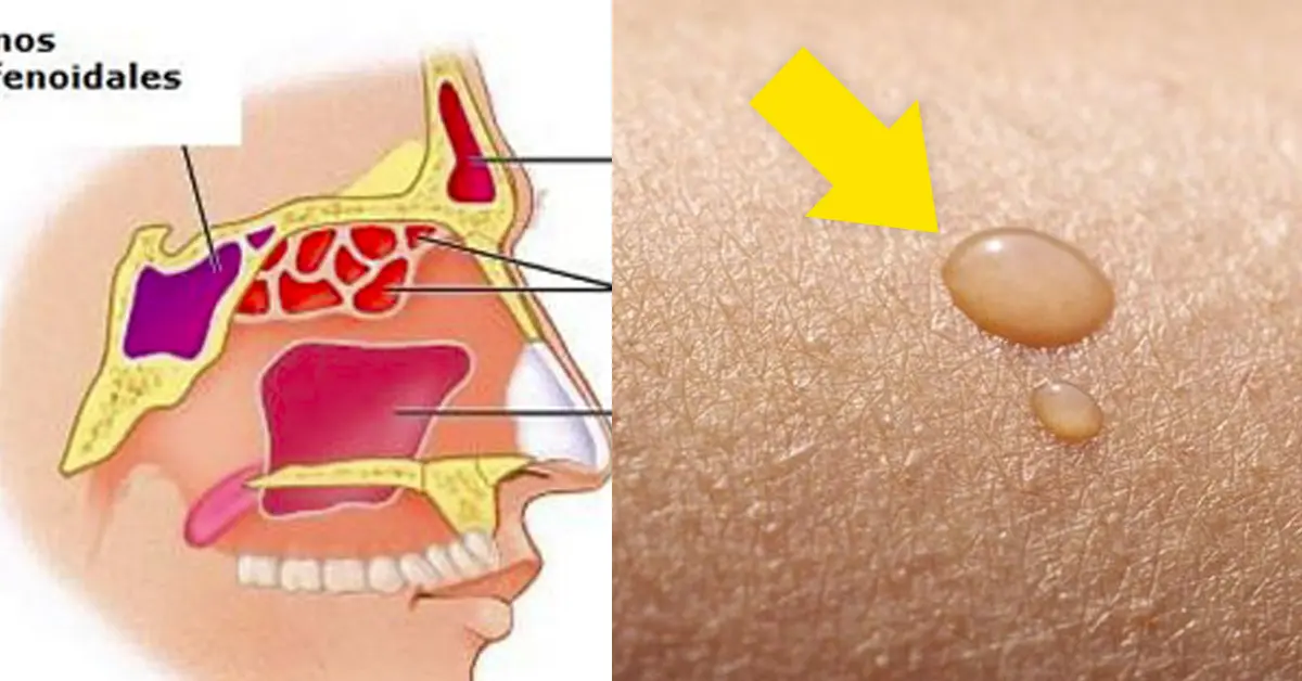 9 Signos con los que nuestro cuerpo nos suplica que bebamos más agua a diario