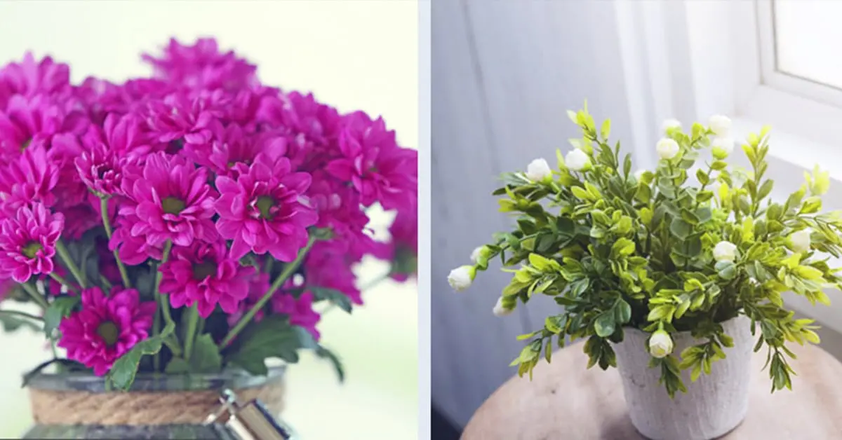 10 Sorprendentes plantas que atraen energía positiva y te harán mucho más feliz