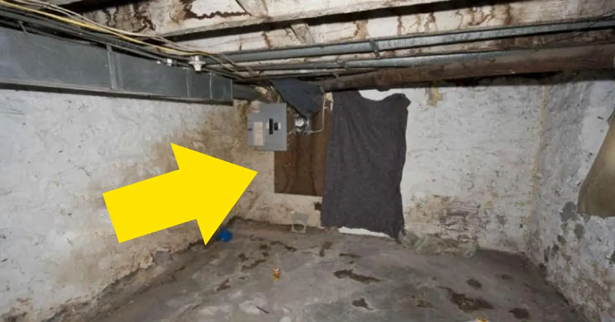 Un hombre excava un agujero en su sótano y descubre sobre lo que estaba construida realmente su casa