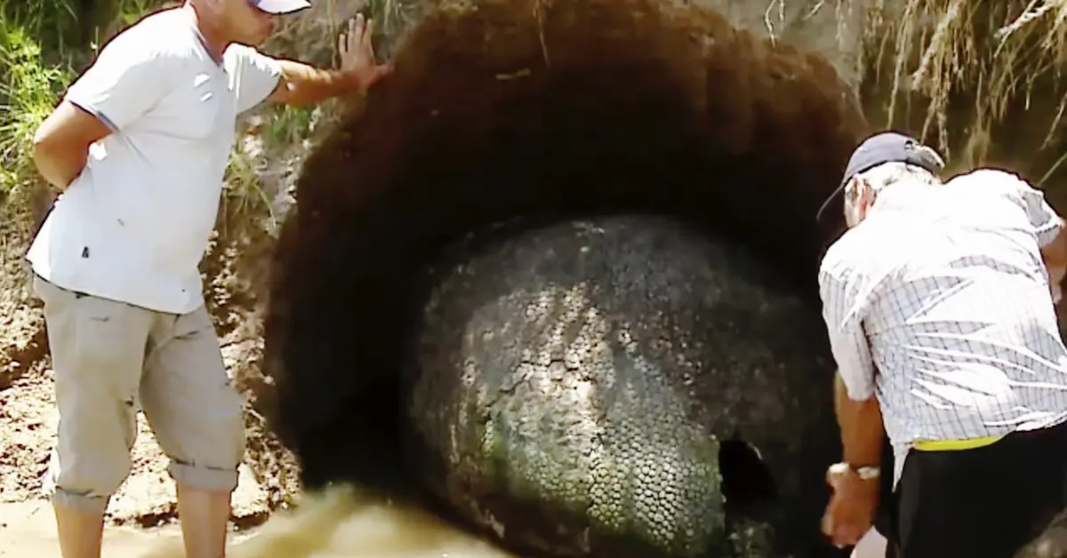 Este granjero encontró un gigantesco "huevo de dinosaurio", pero luego descubrió que era algo mejor