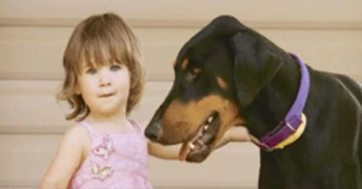 Un Doberman adoptado horroriza a unos padres llevándose a su hija con fuerza por el jardín