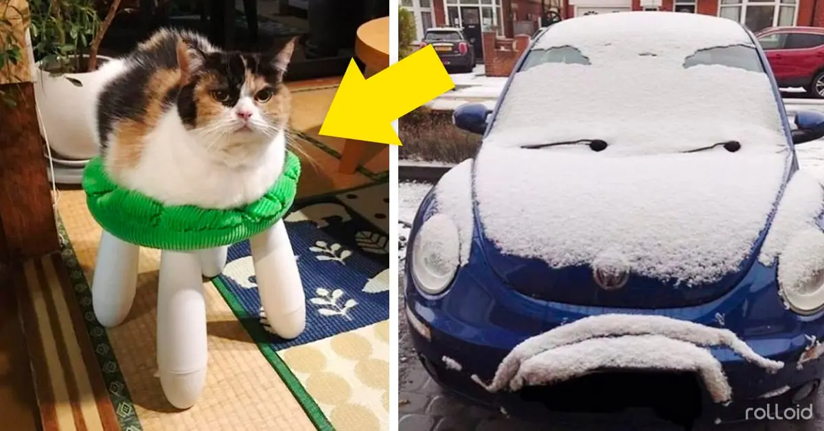 20 Divertidas imágenes que fueron tomadas en el momento perfecto