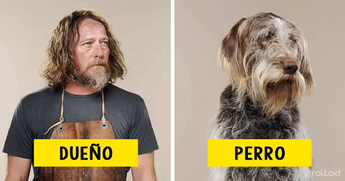 Un fotógrafo reúne a perros y sus dueños para demostrar que son completamente iguales