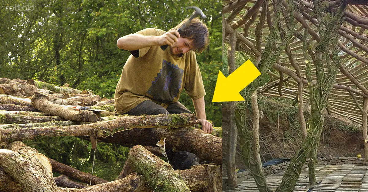 Lo que este hombre consiguió construir reuniendo restos de madera hará que te quieras ir a vivir ahí
