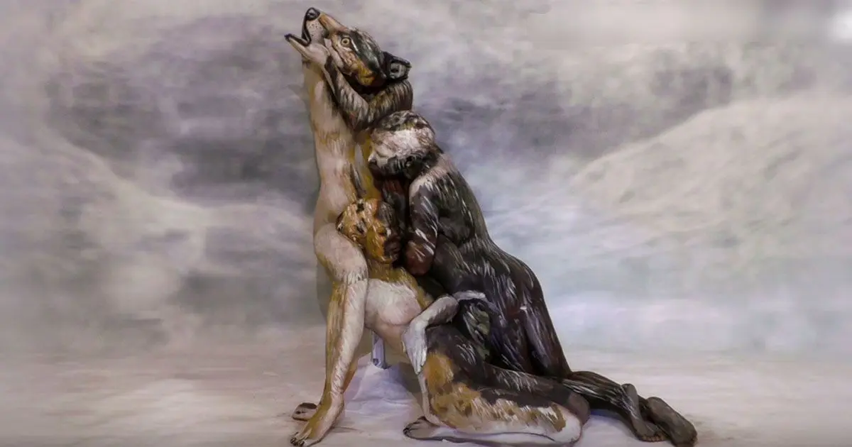Esta extraña imagen de un Lobo ha enloquecido a todo el mundo ¿Eres capaz de ver por qué?