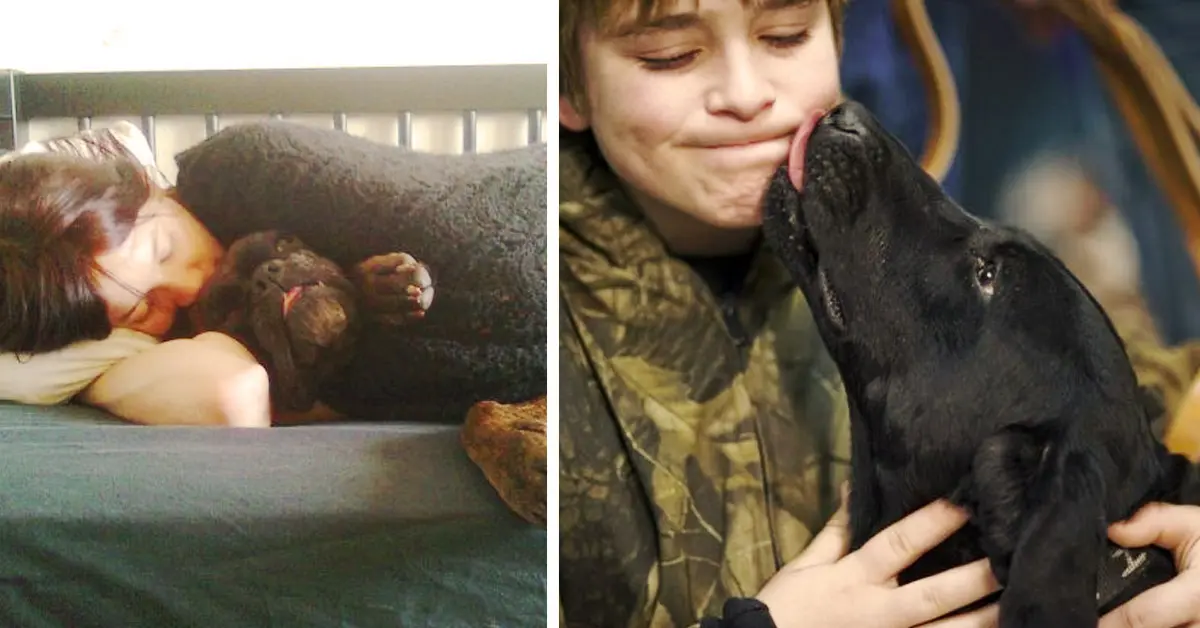 Si tu perro hace alguna de estas 9 cosas, seguramente te está tratando de decir lo mucho que te quiere