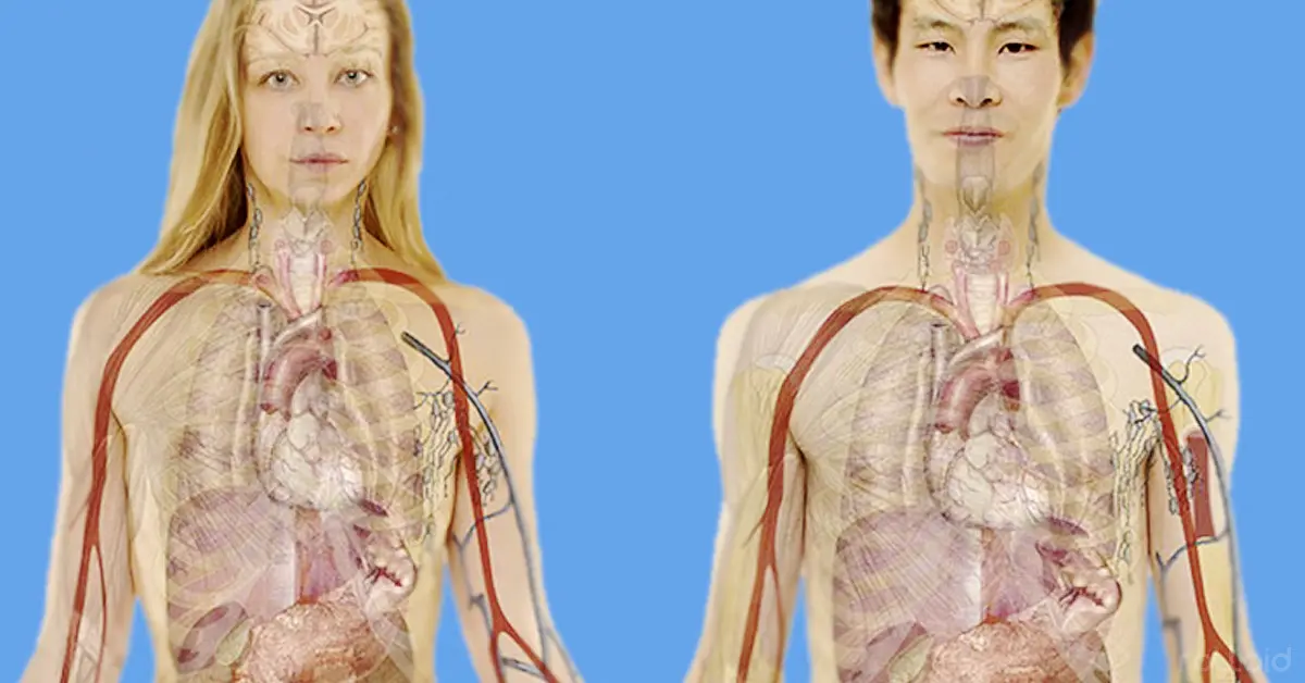 Si últimamente estás más cansado y mareado, puede que tu cuerpo te esté avisando