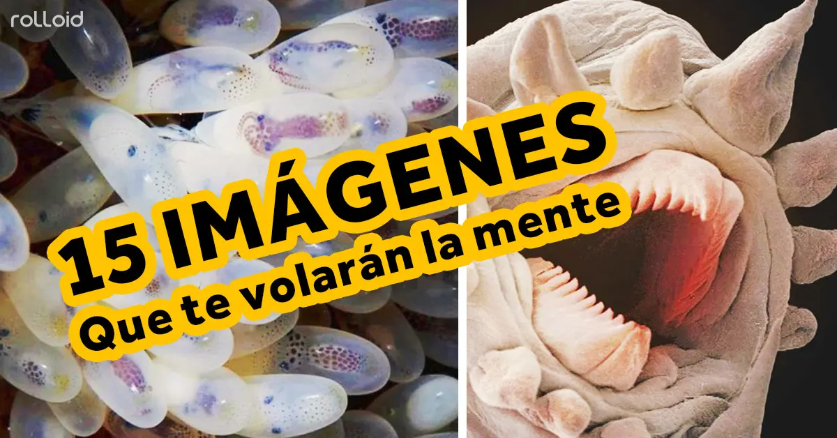 Imágenes que harán volar tu imaginación