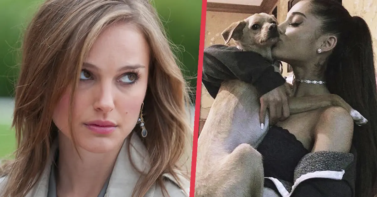 10 Famosos se sinceran confesando qué suelen comer cada día