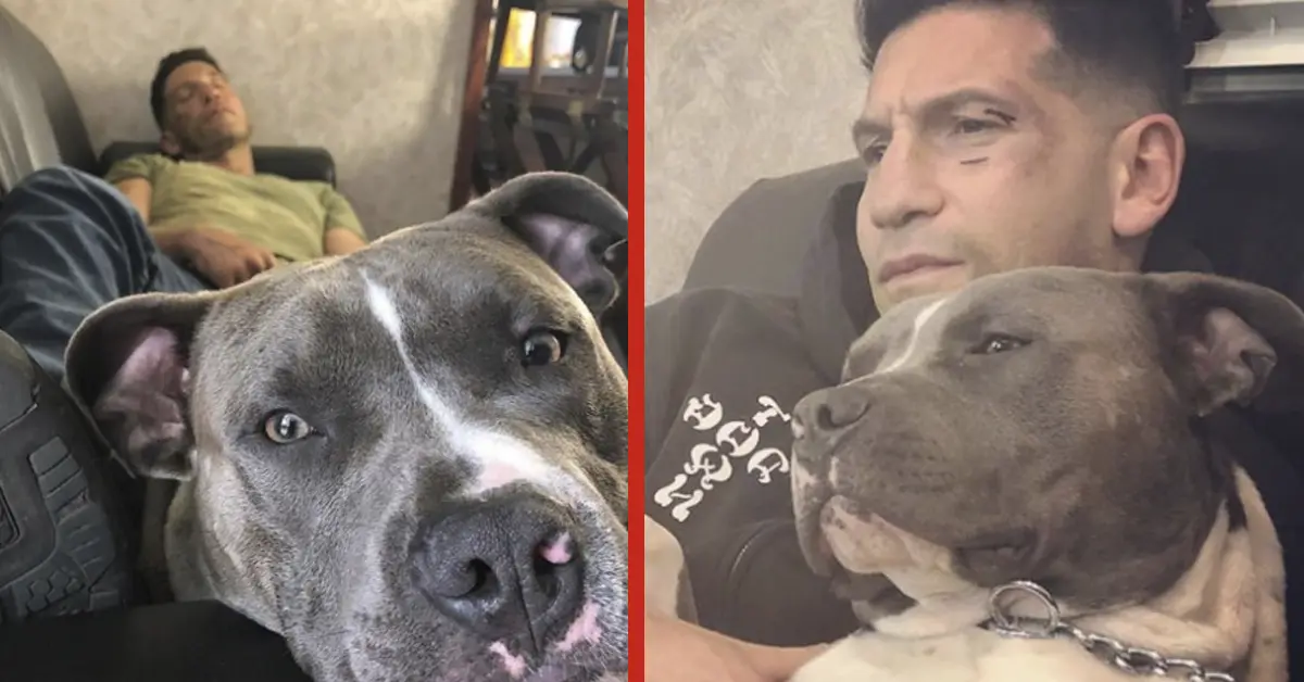 La estrella de "The Walking Dead" muestra en 20 imágenes por qué 'nunca' deberías rescatar un pitbull