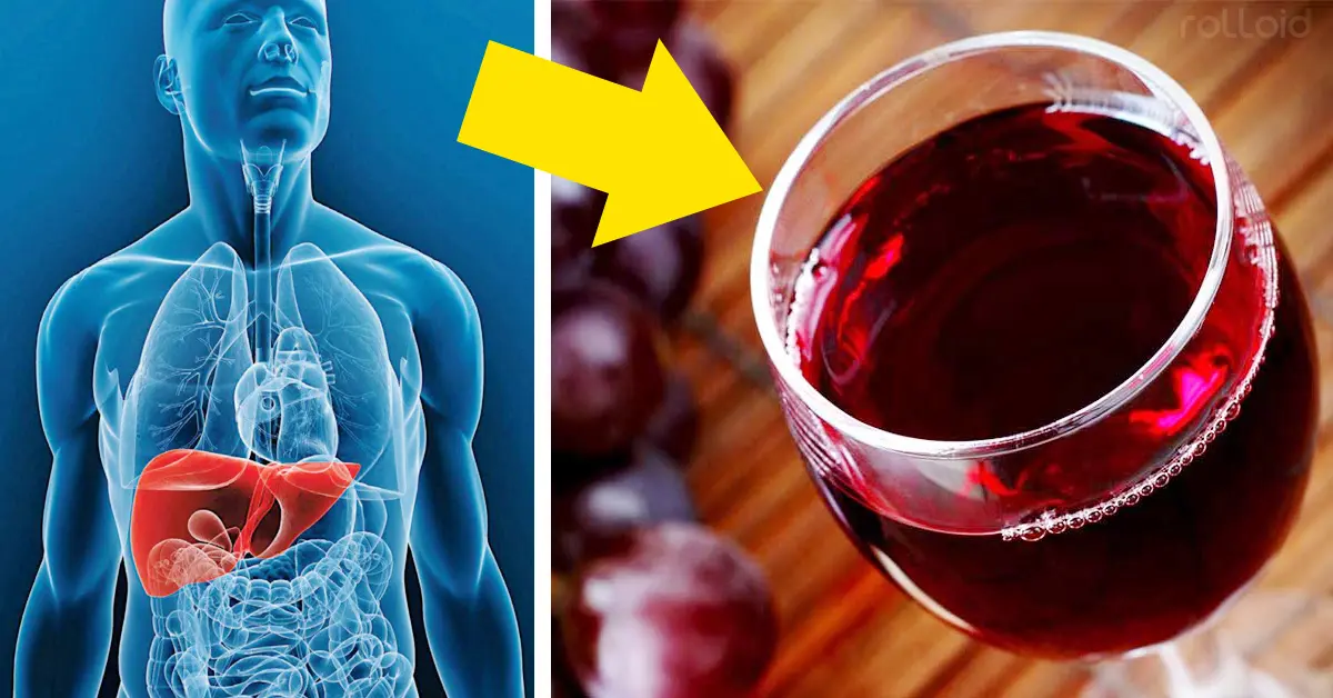 ¿Eres de esos que disfrutan de una copa al día de vino tinto? Esto es lo que le hace a tu cuerpo cada vez que lo tomas