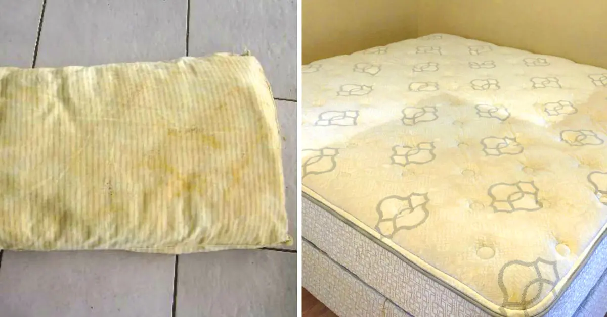 11 Cosas de casa que hay que cambiar y no solemos saberlo