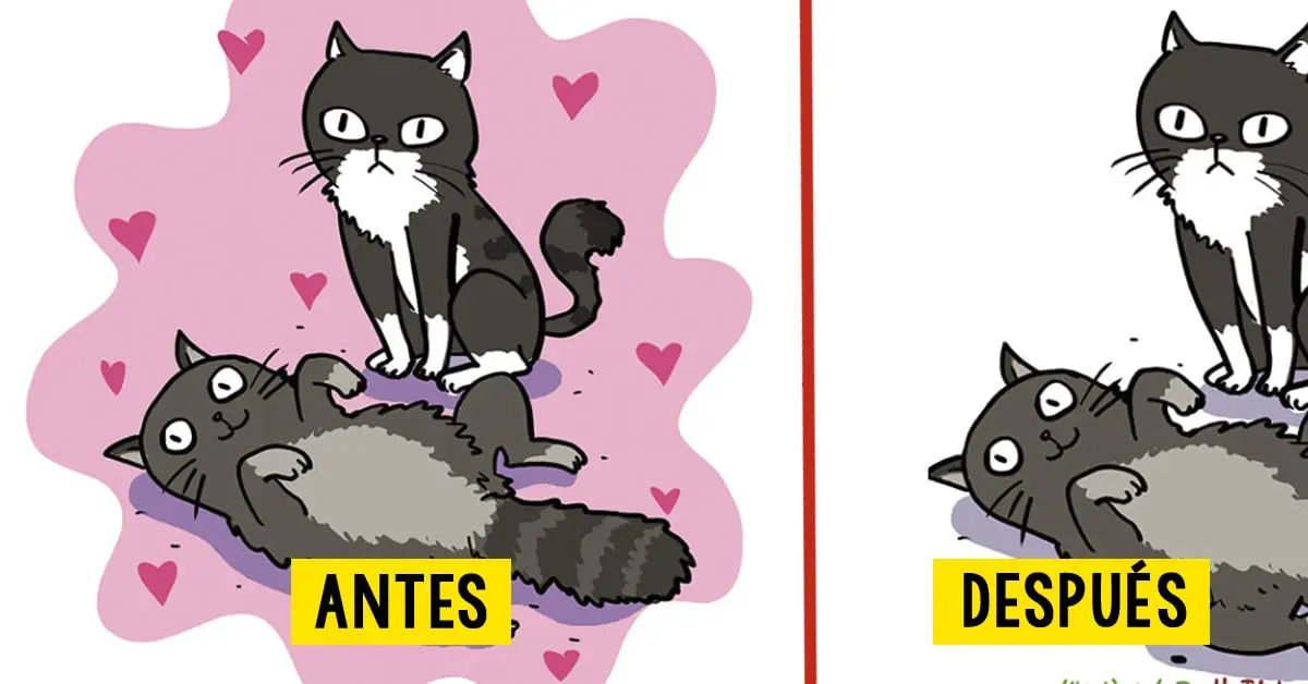 Una madre muestra el antes y el después de su vida después de tener hijos