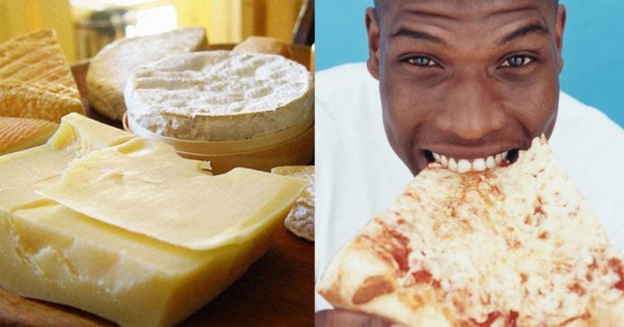 El queso es tan adictivo como la cocaina banner