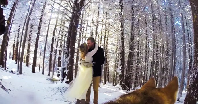 Pareja deja su perro grabar video boda banner