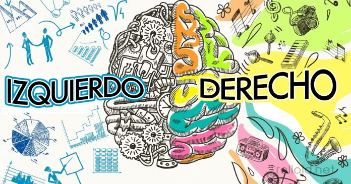 Que hemisferio de tu cerebro domina tu vida banner 2