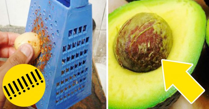nunca tiraras semillas aguacate banner2
