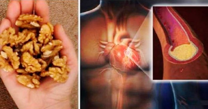 Comete 5 nueces espera 4 horas y ESTO es lo que le ocurrira a tu cuerpo banner