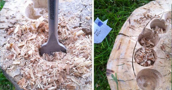 Cómo transformar troncos de árboles en increíbles maceteros para tu jardín