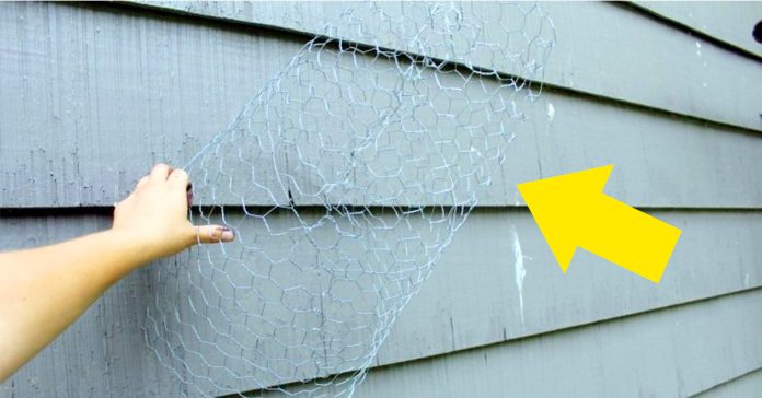 te mostramos como convertir un simple alambre en un gran objeto de decoracion para tu hogar banner