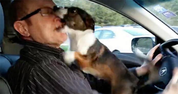 Un perro se viraliza al darse cuenta de dónde le llevaba su dueño en coche 2 car dog