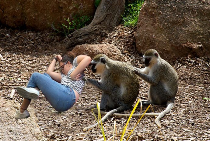 esta-pobre-chica-se-quedo-dormida-en-la-universidad-y-la-reaccion-de-todo-internet-se-volvio-demasiado-salvaje {keyword}