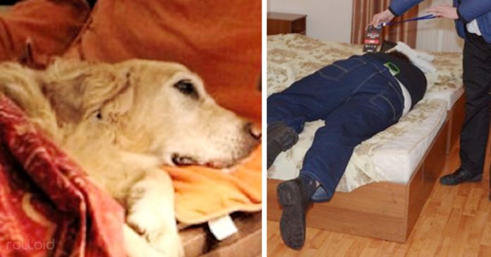 pregunto al hotel si podia llevar a su perro