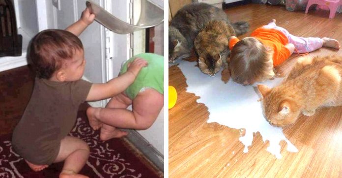 pruebas ninos bebes es divertido banner